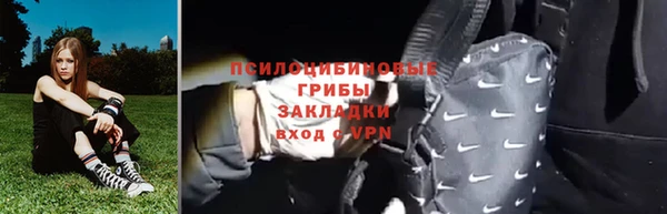 МДПВ Алзамай