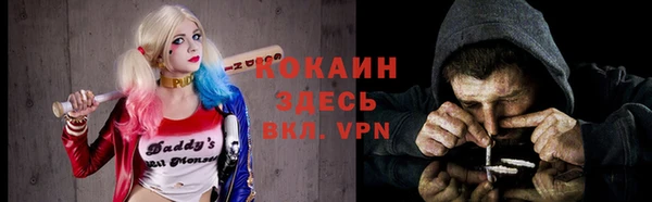 гашик Осинники